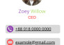design non web clickable digital business card or vcard